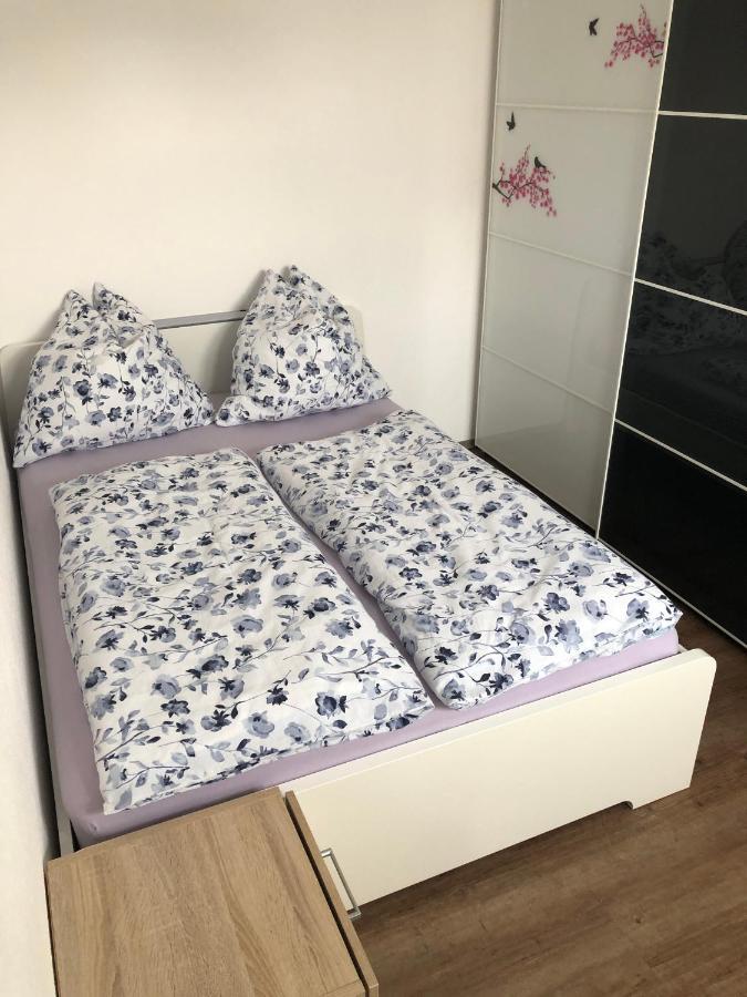Ferienwohnung Janson Wiesenbach Εξωτερικό φωτογραφία